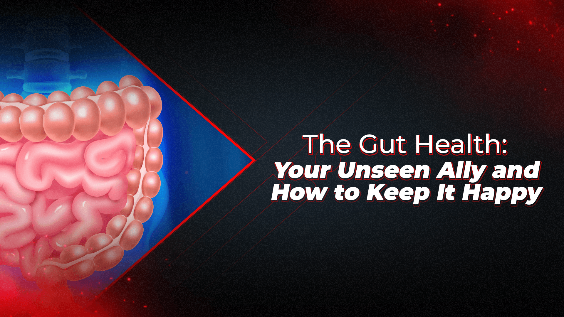 the gut