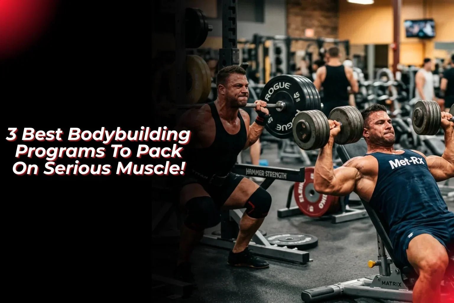 3 Best Bodybuilding Programs To Pack On Serious Muscle! - Proathlix