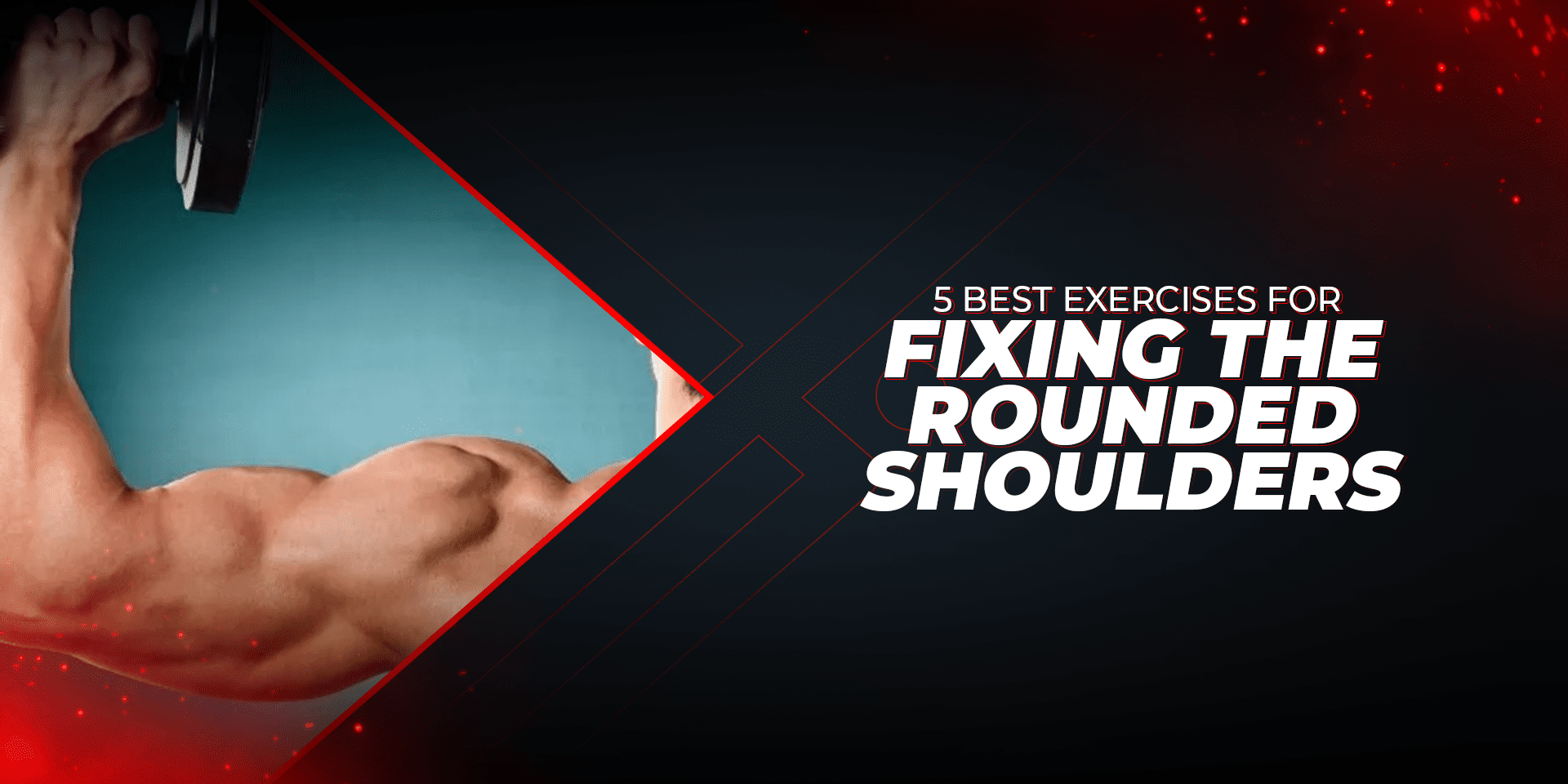 5 Best Exercises For Fixing The Rounded Shoulders - Proathlix