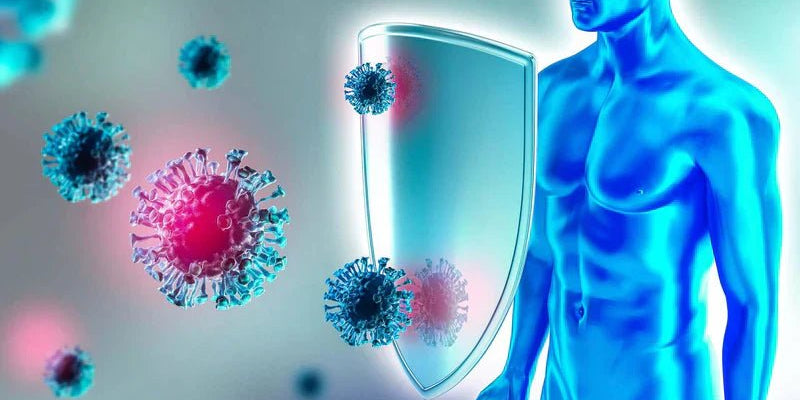 9 Signs Of Strong Immune System - Proathlix