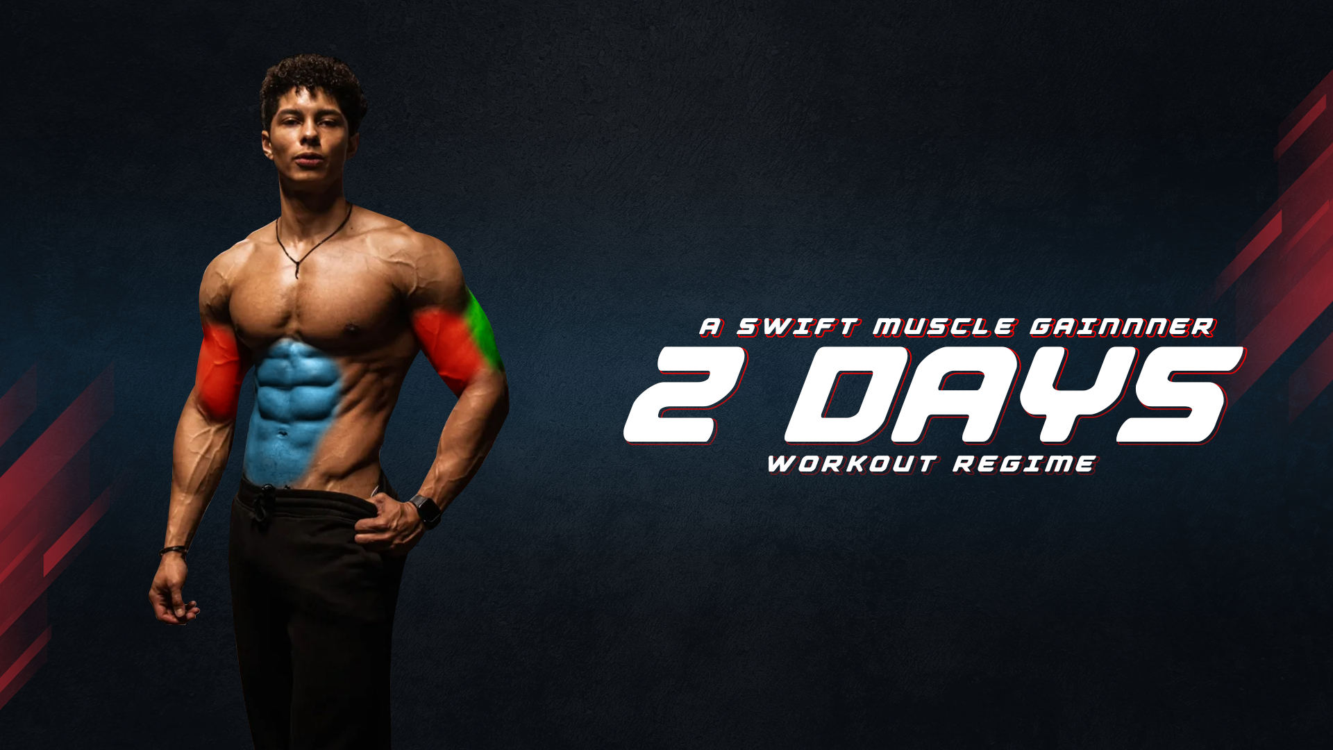 A Swift Muscle Gainer’s 2 Day Workout Regime