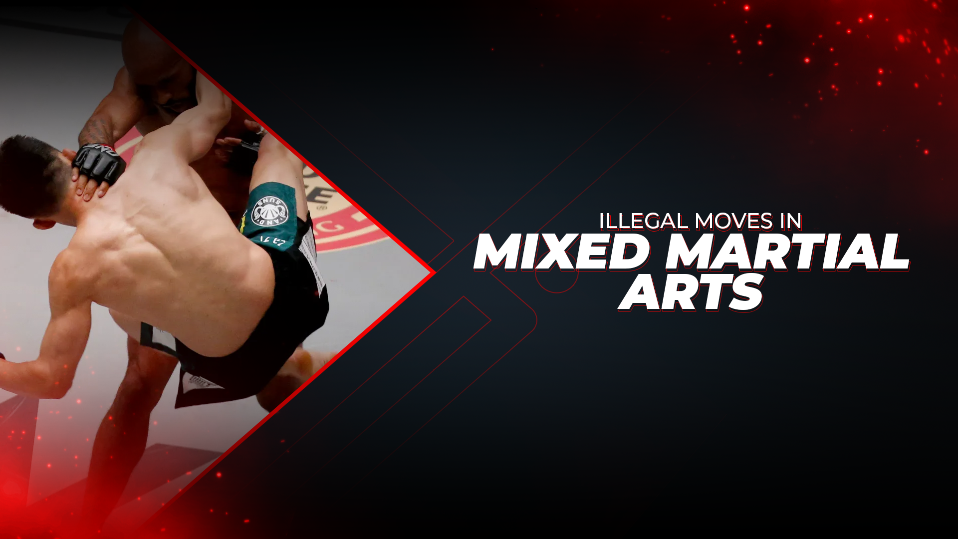 Illegal Moves In Mixed Martial Arts
