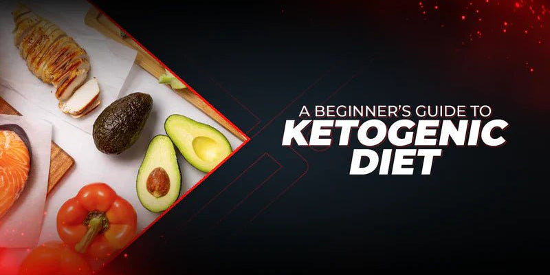 A Beginner’s Guide To Ketogenic Diet - Proathlix