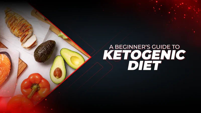 A Beginner’s Guide To Ketogenic Diet - Proathlix