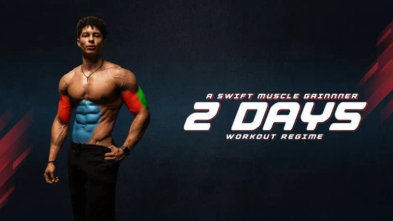 A Swift Muscle Gainer’s 2 Day Workout Regime - Proathlix
