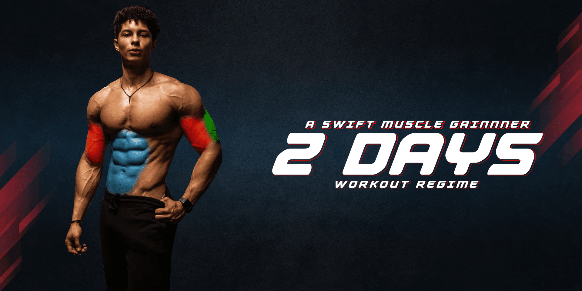 A Swift Muscle Gainer’s 2 Day Workout Regime - Proathlix