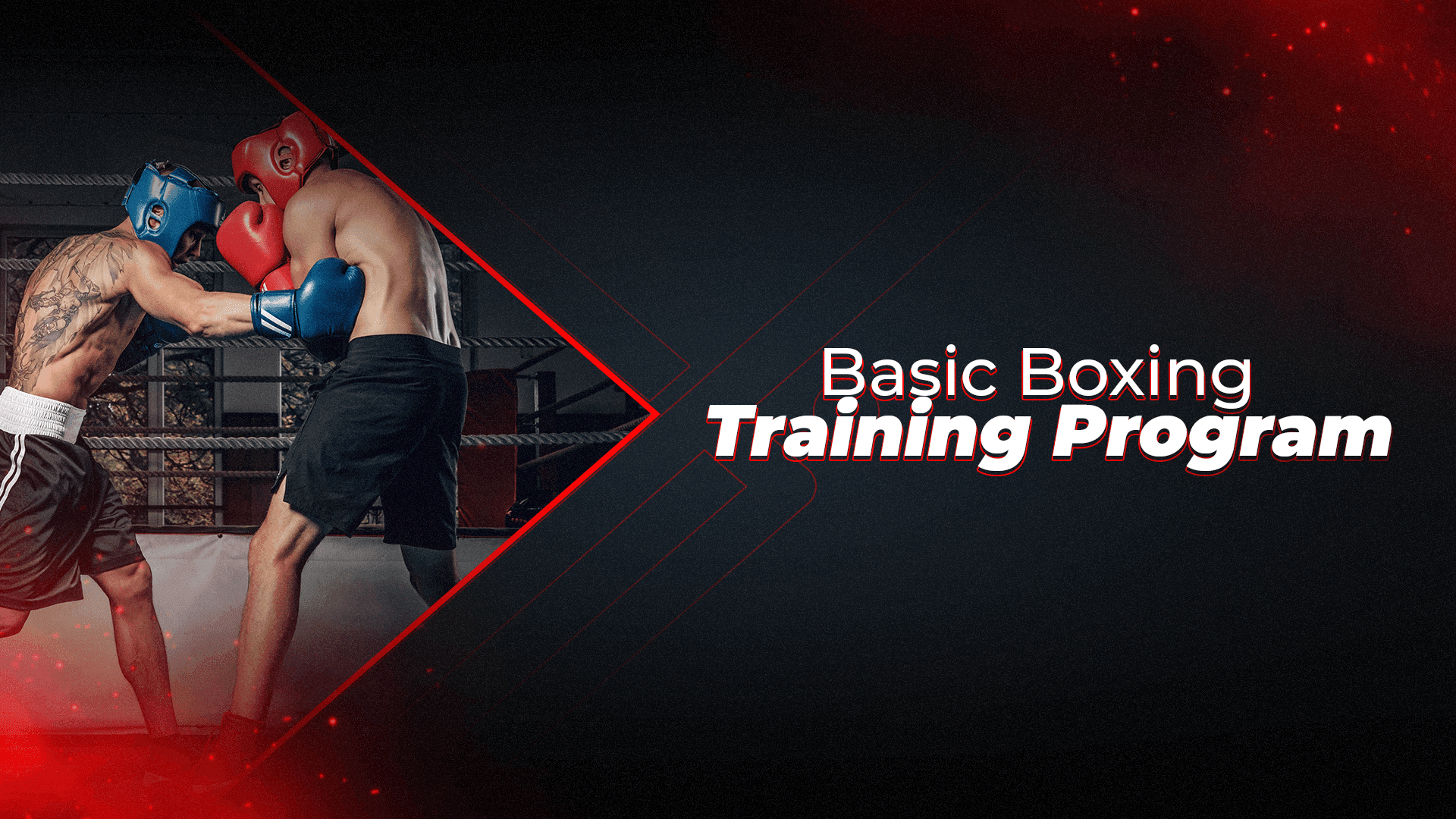 Basic Boxing Training Program - Proathlix