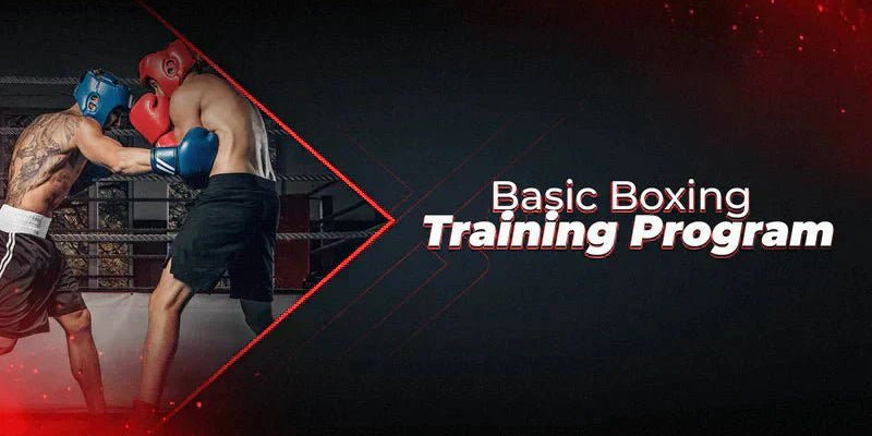 Basic Boxing Training Program - Proathlix