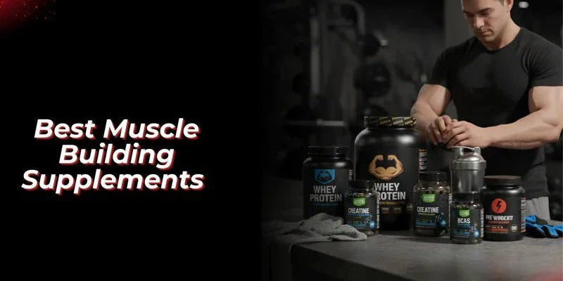 Best Muscle Building Supplements Backed by Science - Proathlix