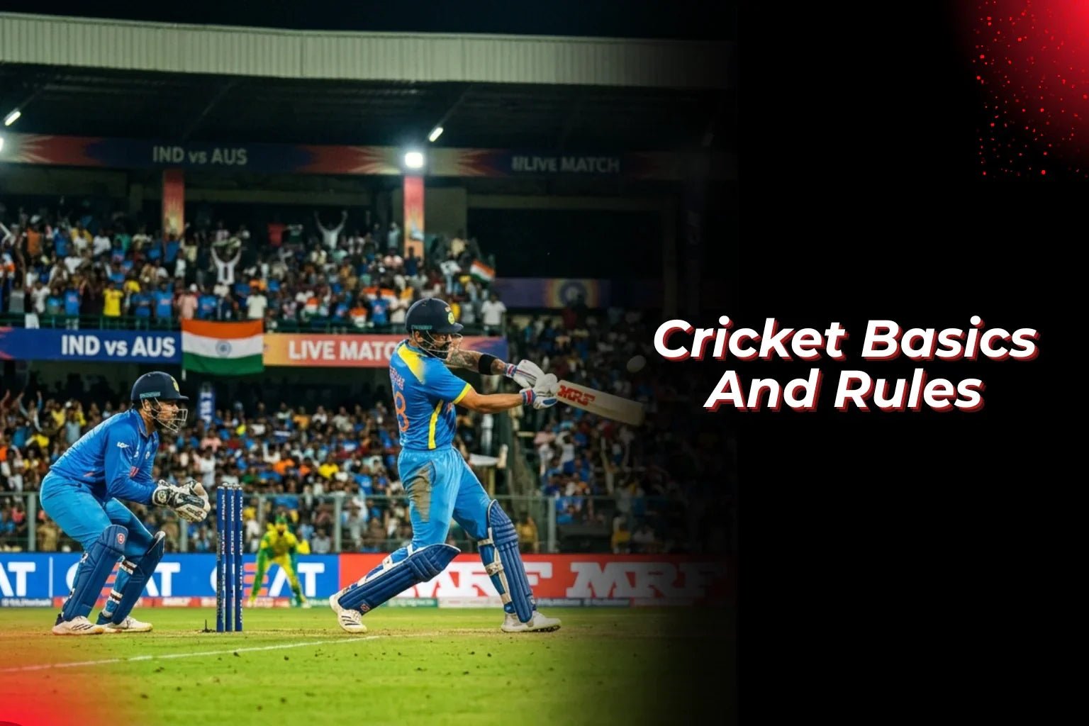 Cricket Basics And Rules - Proathlix