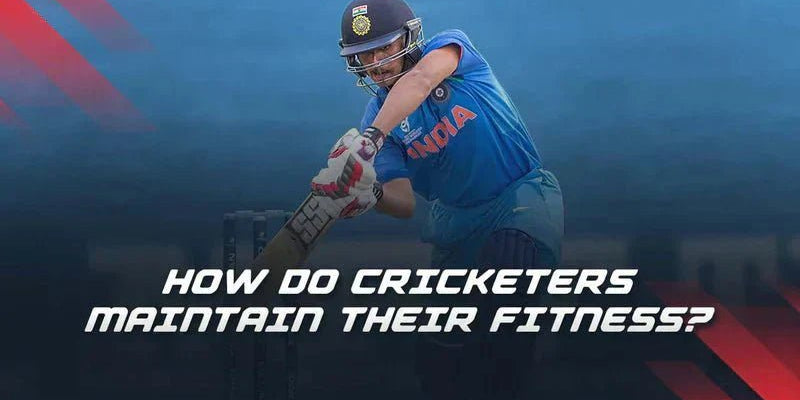 How Do Cricketers Maintain Their Fitness? - Proathlix