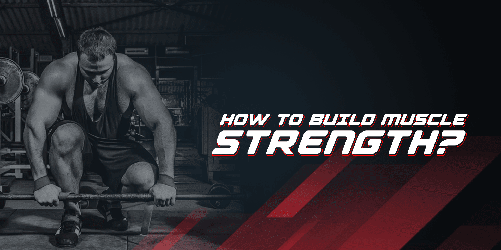How To Build Muscle Strength? - Proathlix