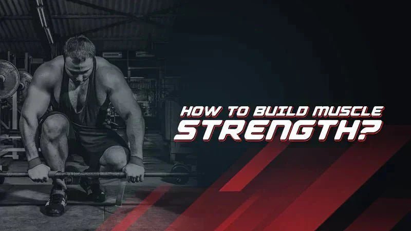 How To Build Muscle Strength? - Proathlix