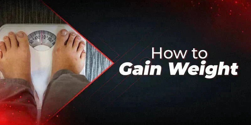 How to Gain Weight: A Practical Guide - Proathlix