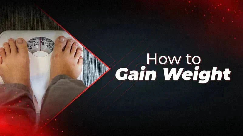 How to Gain Weight: A Practical Guide - Proathlix