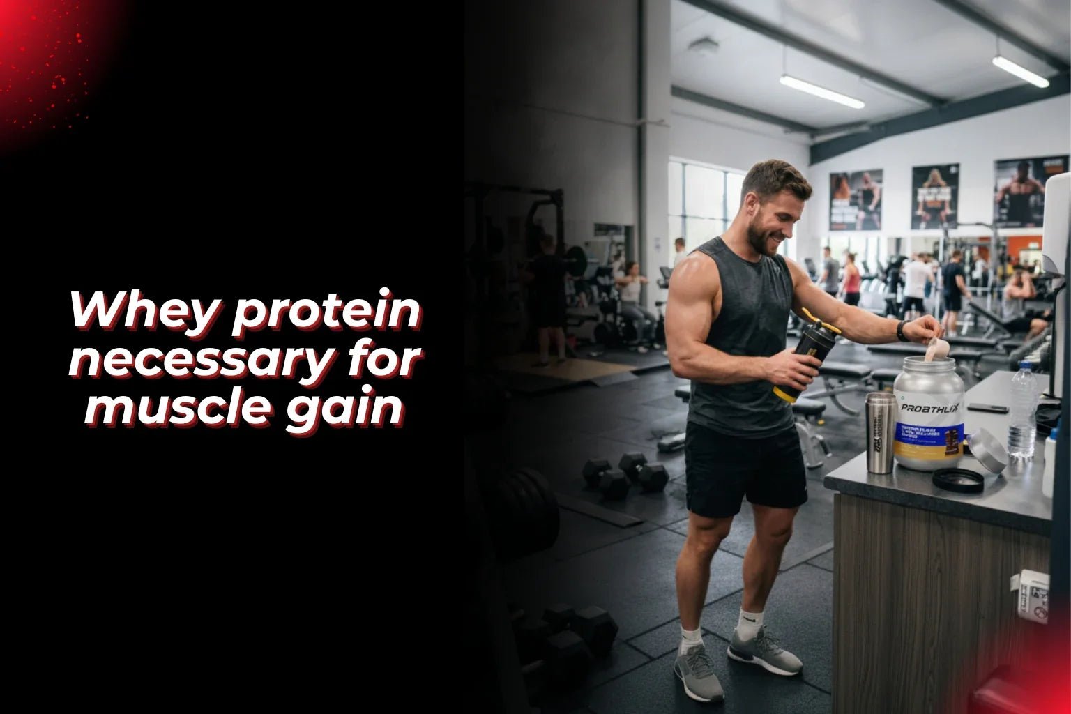 Is whey protein necessary for muscle gain? - Proathlix