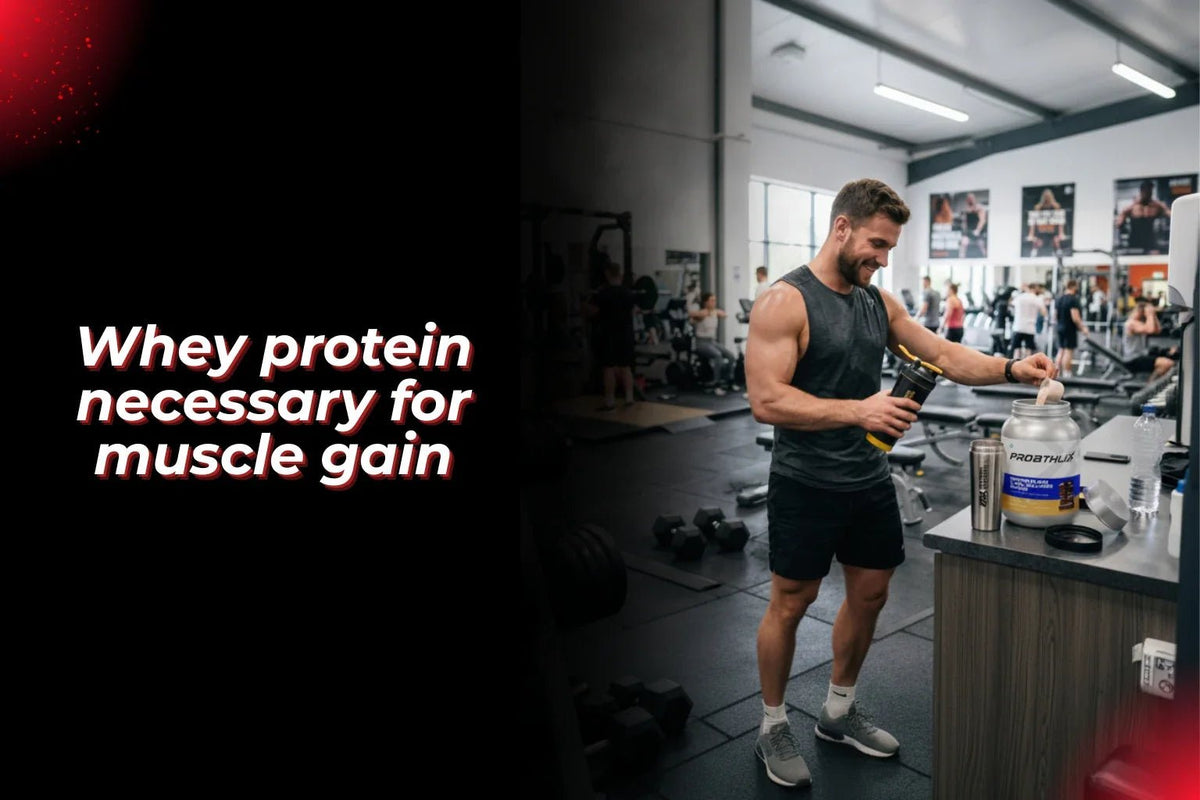 Is whey protein necessary for muscle gain? - Proathlix