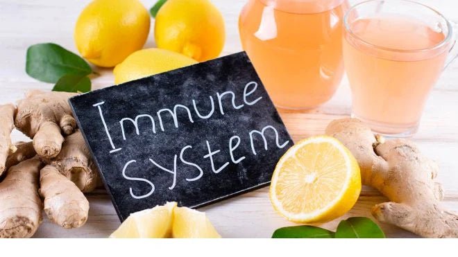 Signs Of Weak Immune System - Proathlix