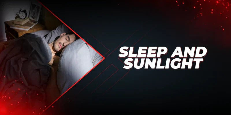 Sleep And Sunlight - Proathlix