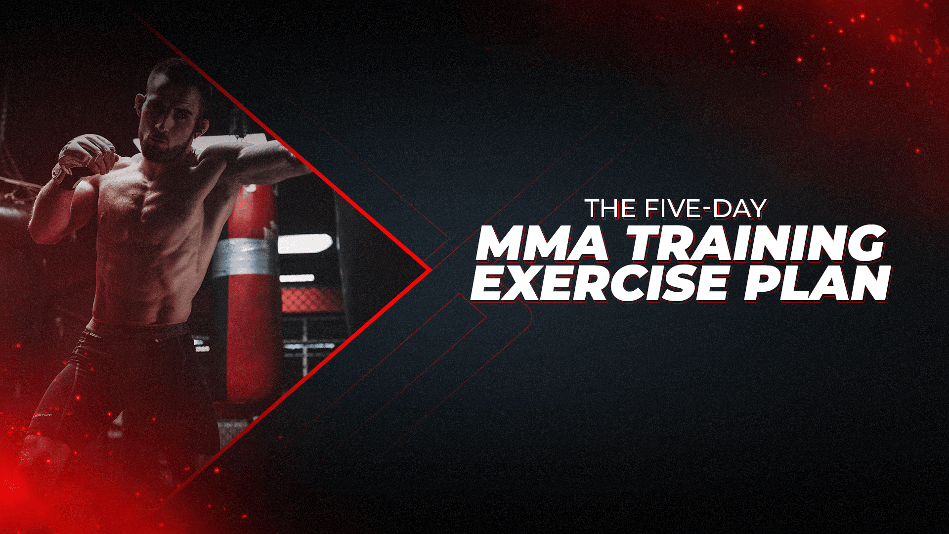 The Five-Day MMA Training Exercise Plan - Proathlix