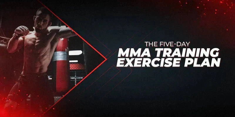 The Five-Day MMA Training Exercise Plan - Proathlix