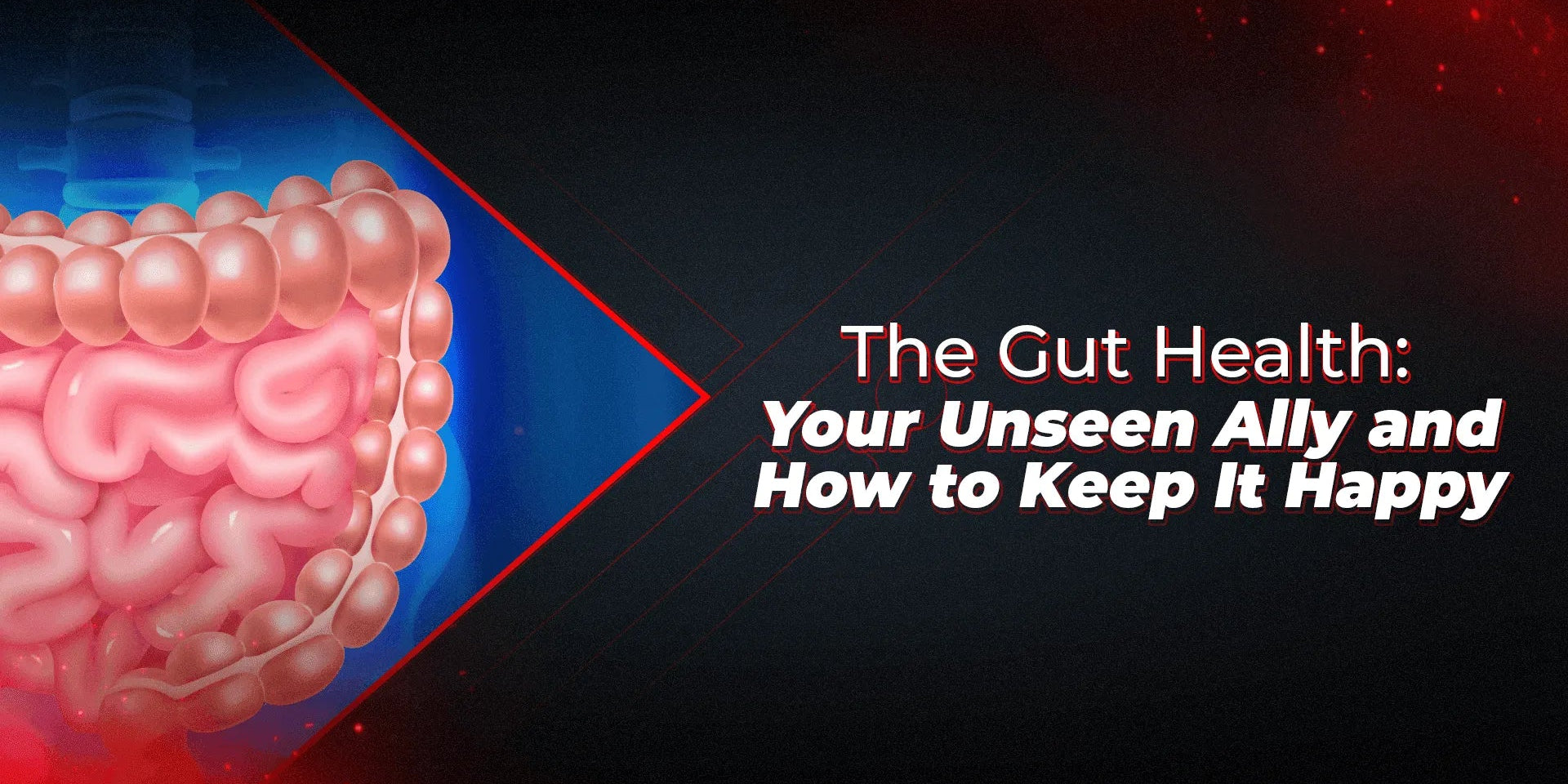 The Gut Health: Your Unseen Ally and How to Keep It Happy - Proathlix
