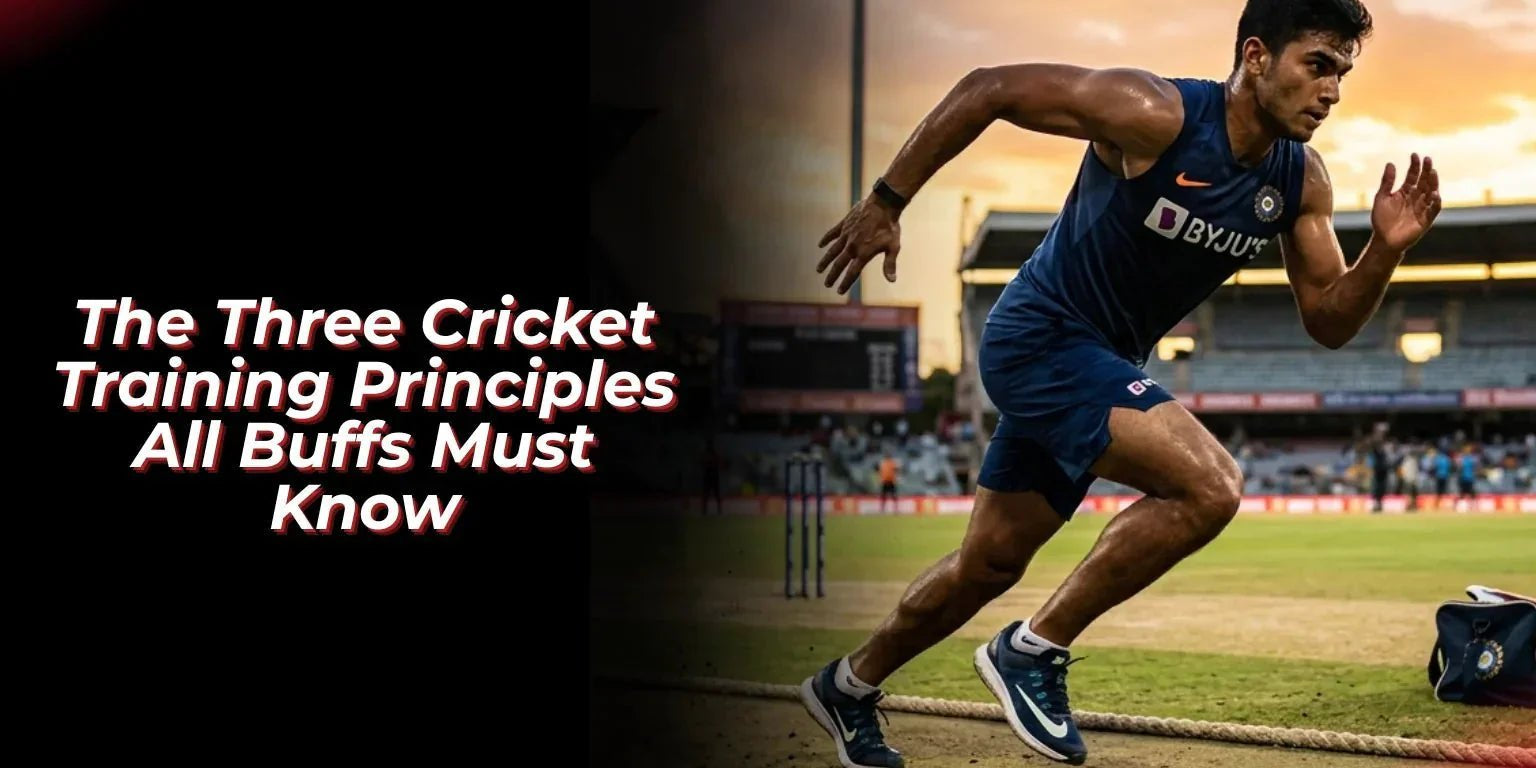 The Three Cricket Training Principles All Buffs Must Know - Proathlix