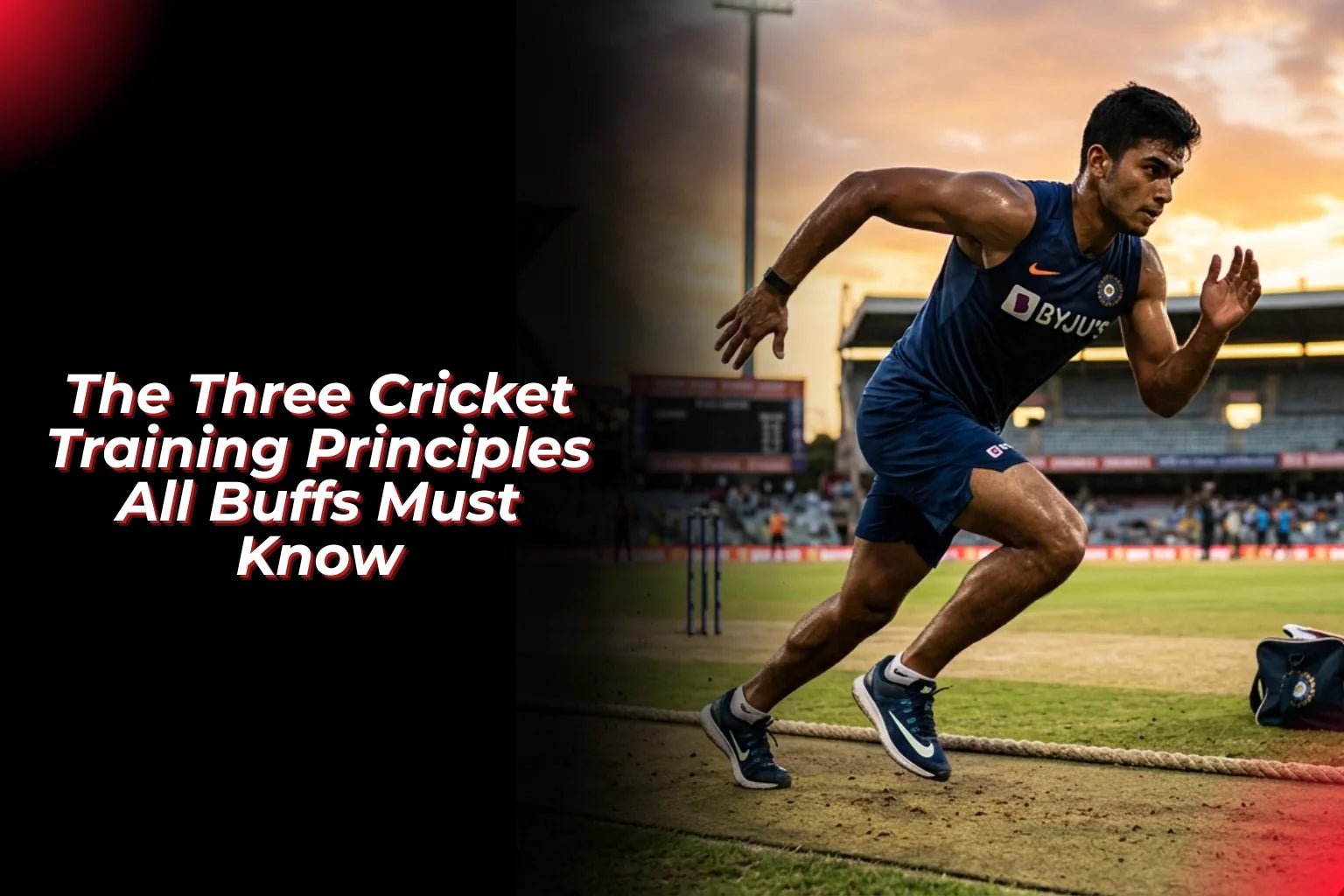 The Three Cricket Training Principles All Buffs Must Know - Proathlix