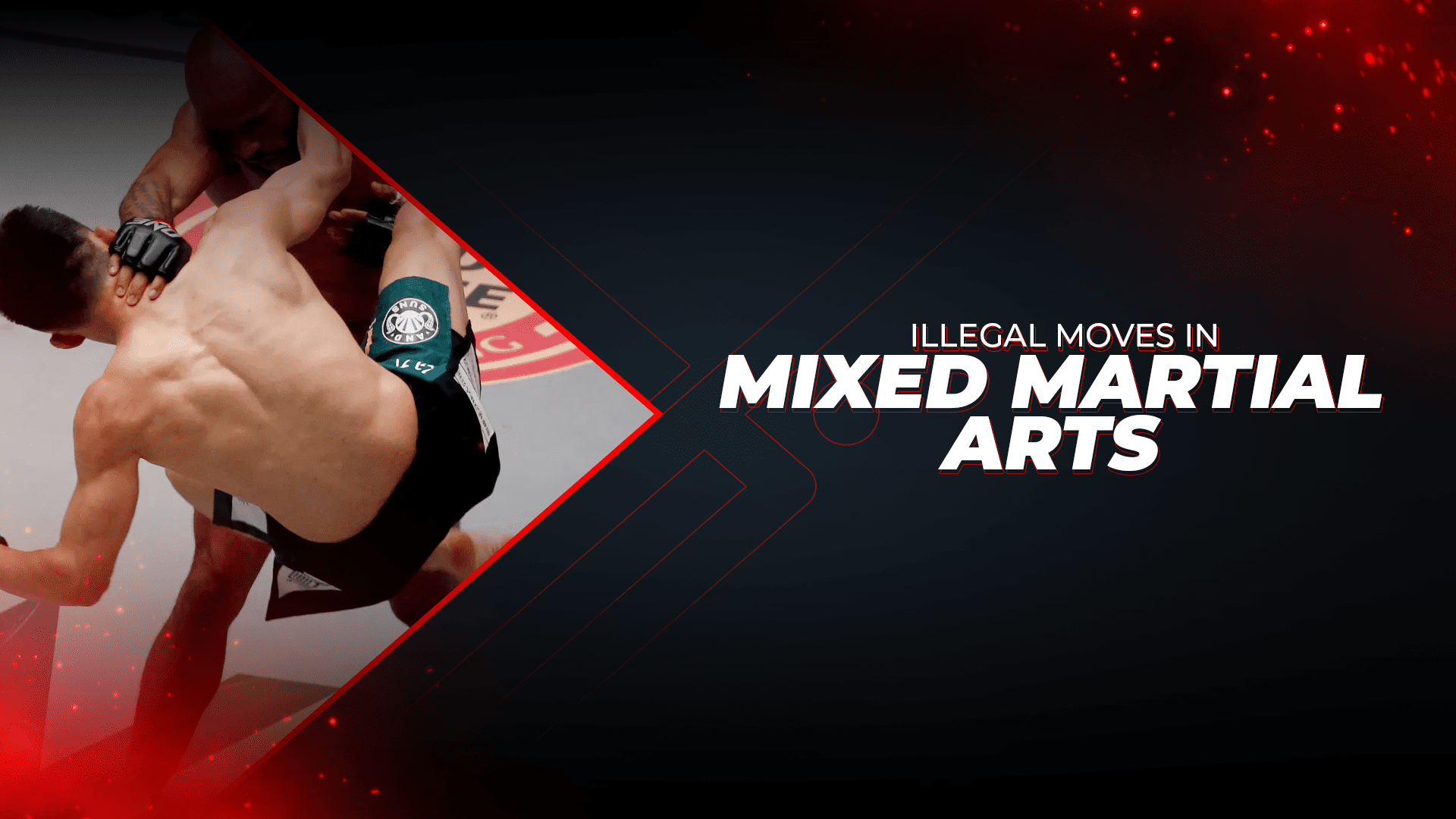 Top 5 Illegal Moves in Mixed Martial Arts (MMA) You Should Know - Proathlix