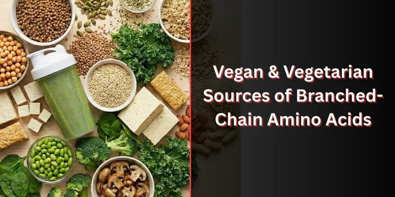Vegan & Vegetarian Sources of Branched-Chain Amino Acids: What You Need to Know - Proathlix