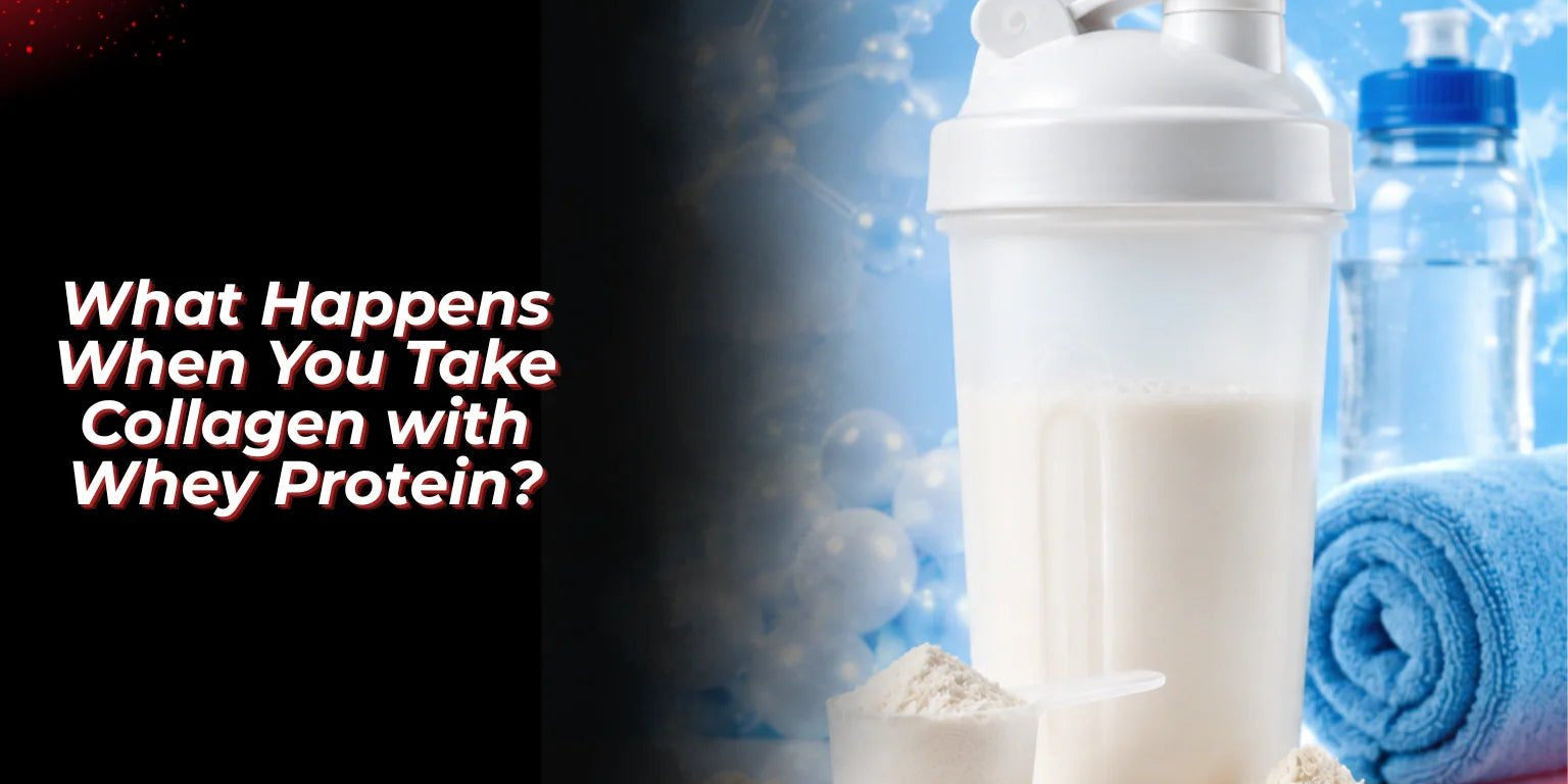 What Happens When You Take Collagen with Whey Protein? - Proathlix
