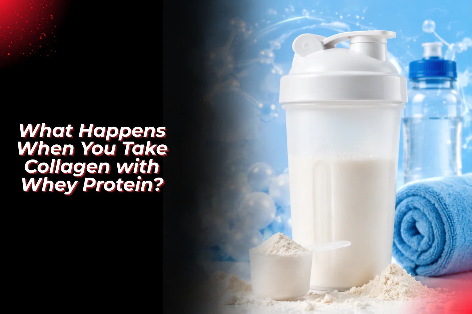 What Happens When You Take Collagen with Whey Protein? - Proathlix