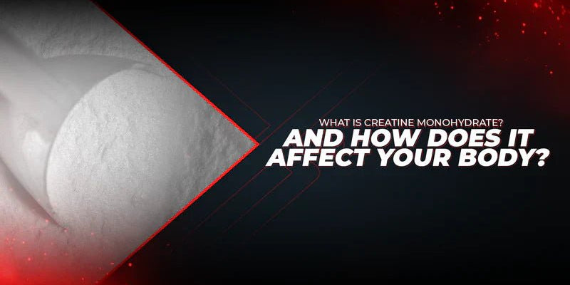 What is Creatine Monohydrate? And How Does It Affect Your Body? - Proathlix