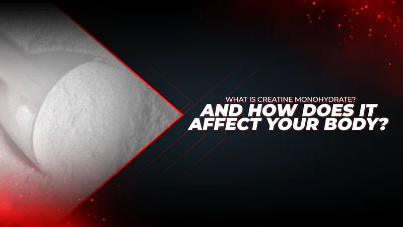 What is Creatine Monohydrate? And How Does It Affect Your Body? - Proathlix