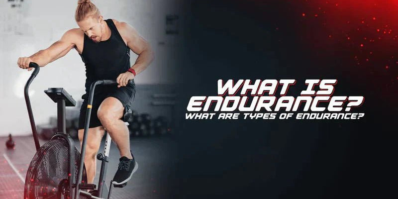 What Is Endurance? What Are Types Of Endurance? - Proathlix