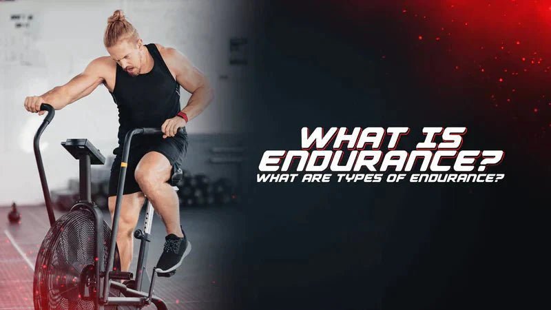 What Is Endurance? What Are Types Of Endurance? - Proathlix
