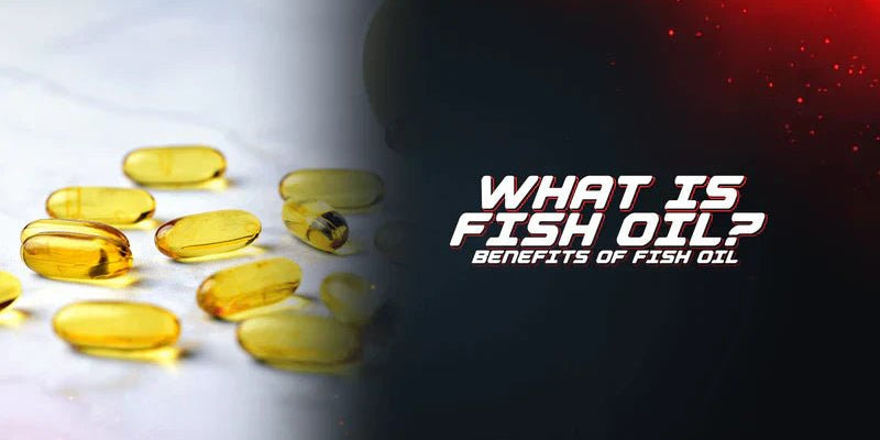 What Is Fish Oil? Benefits Of Fish Oil - Proathlix