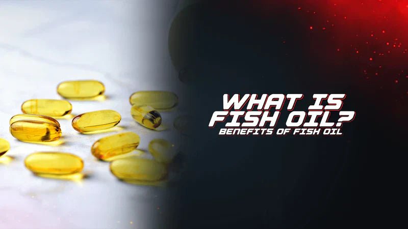 What Is Fish Oil? Benefits Of Fish Oil - Proathlix