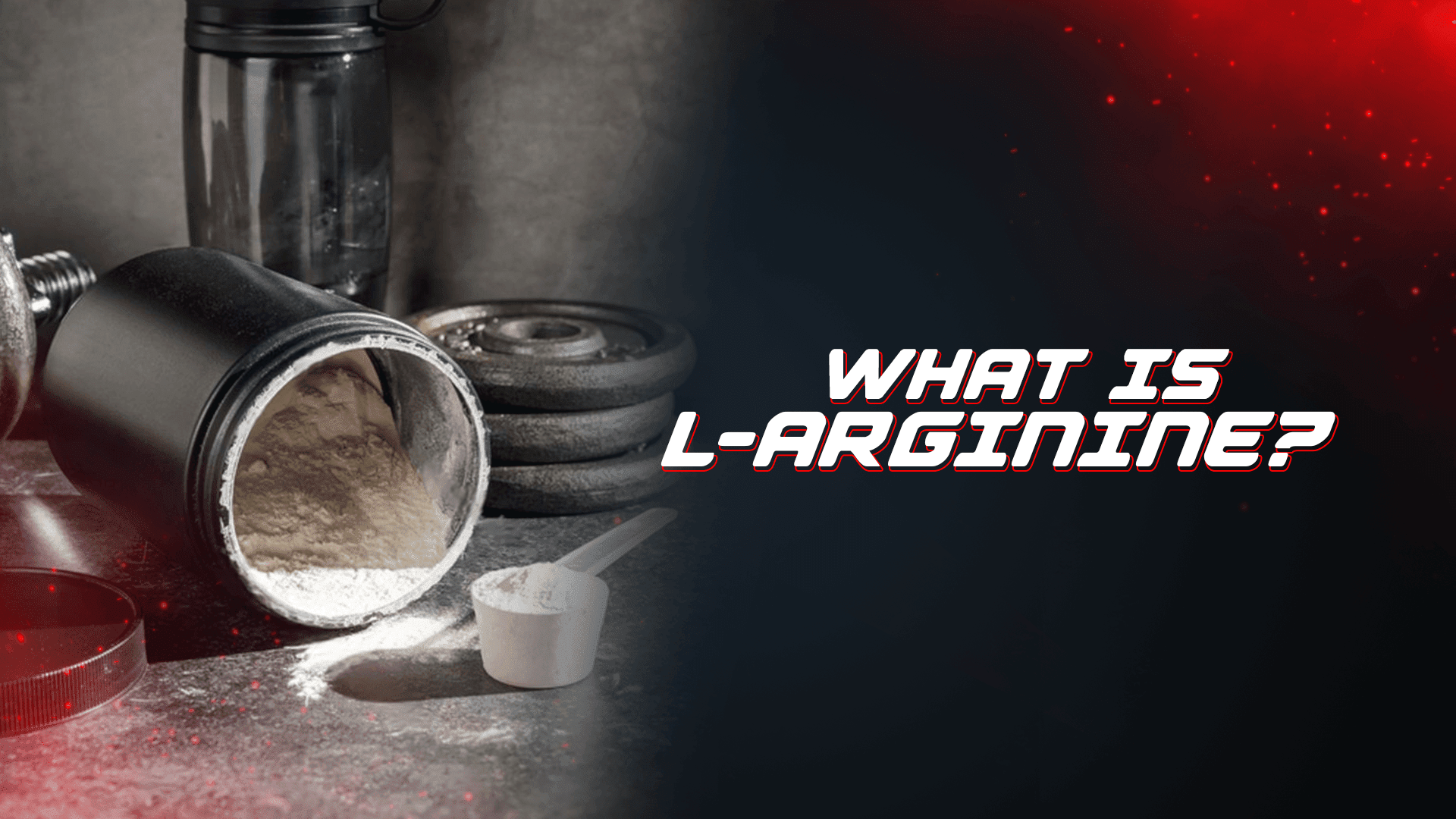 What Is L-Arginine? - Proathlix