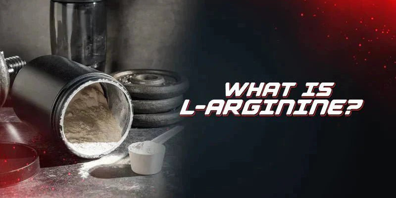 What Is L-Arginine? - Proathlix