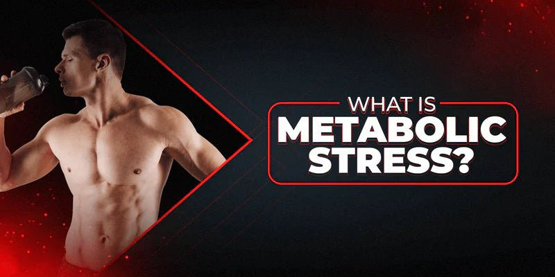 What Is Metabolic Stress? - Proathlix