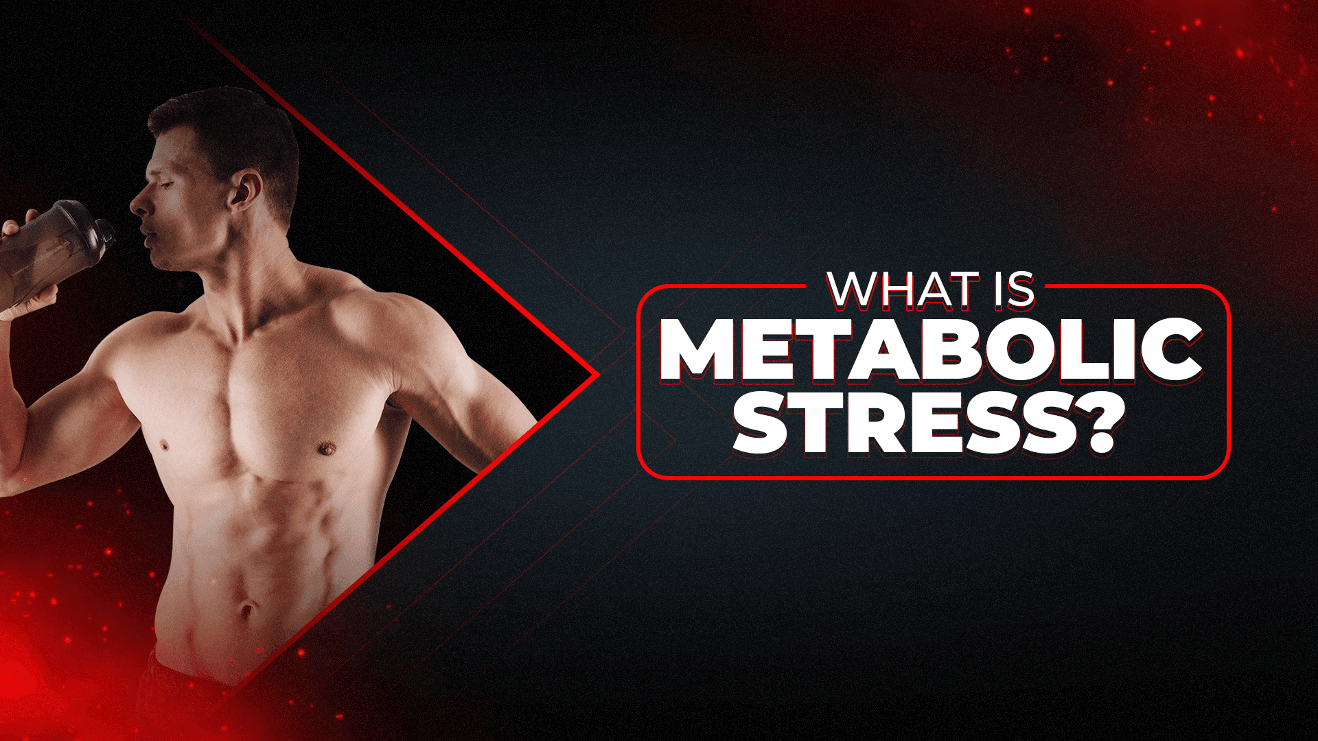 What Is Metabolic Stress? - Proathlix