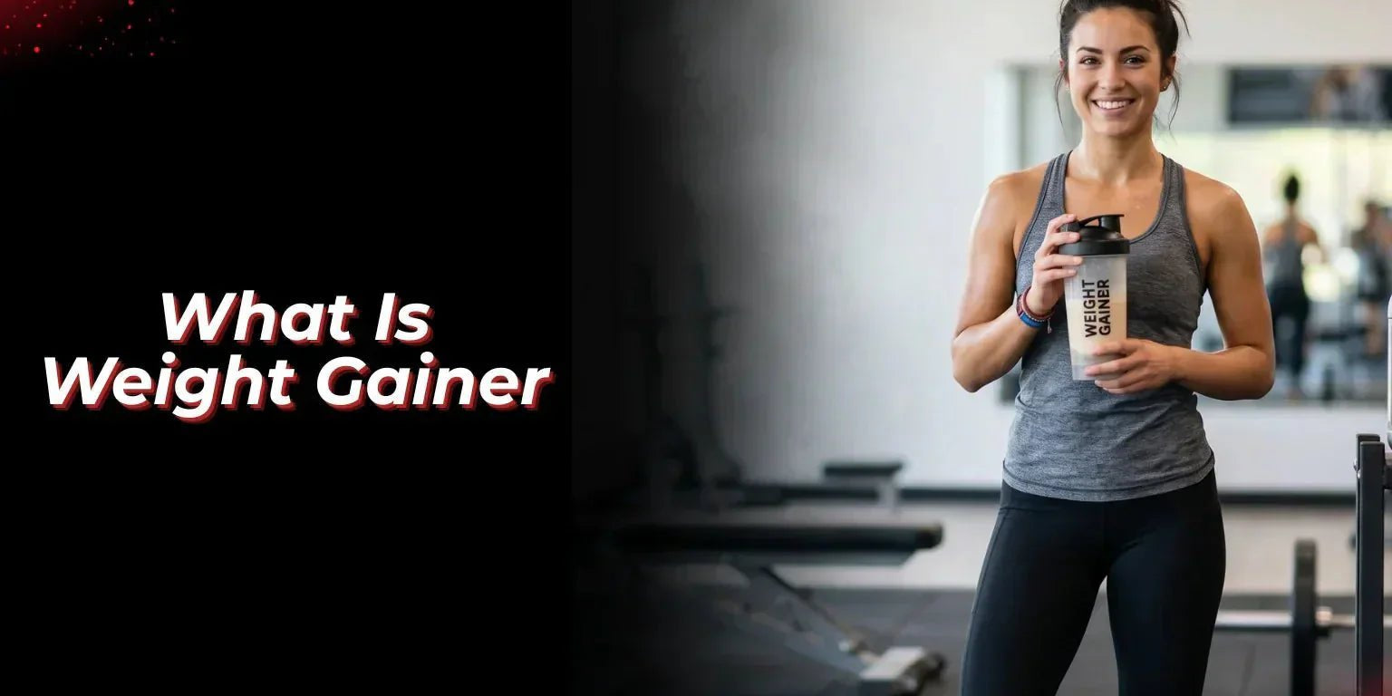 What Is Weight Gainer? - Proathlix
