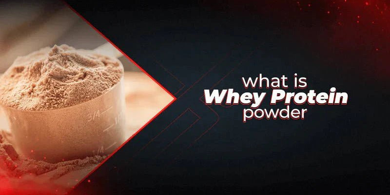 What Is Whey Protein Powder? A Simple Guide to Benefits, Types & Usage - Proathlix