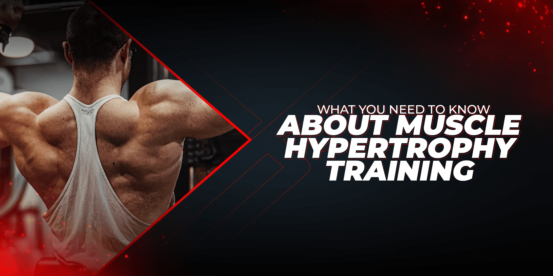 What You Need To Know About Muscle Hypertrophy Training - Proathlix