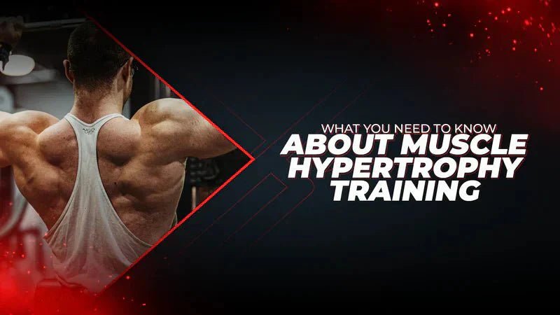 What You Need To Know About Muscle Hypertrophy Training - Proathlix