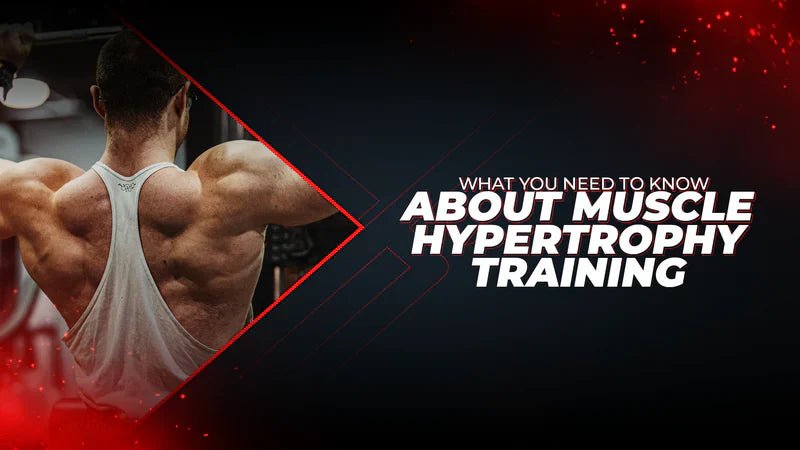 What You Need To Know About Muscle Hypertrophy Training - Proathlix
