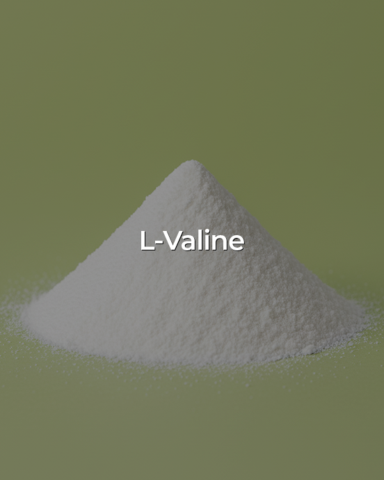 Banner image for desktop