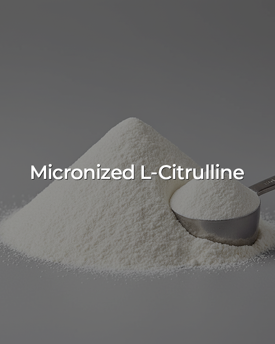 Banner image for desktop