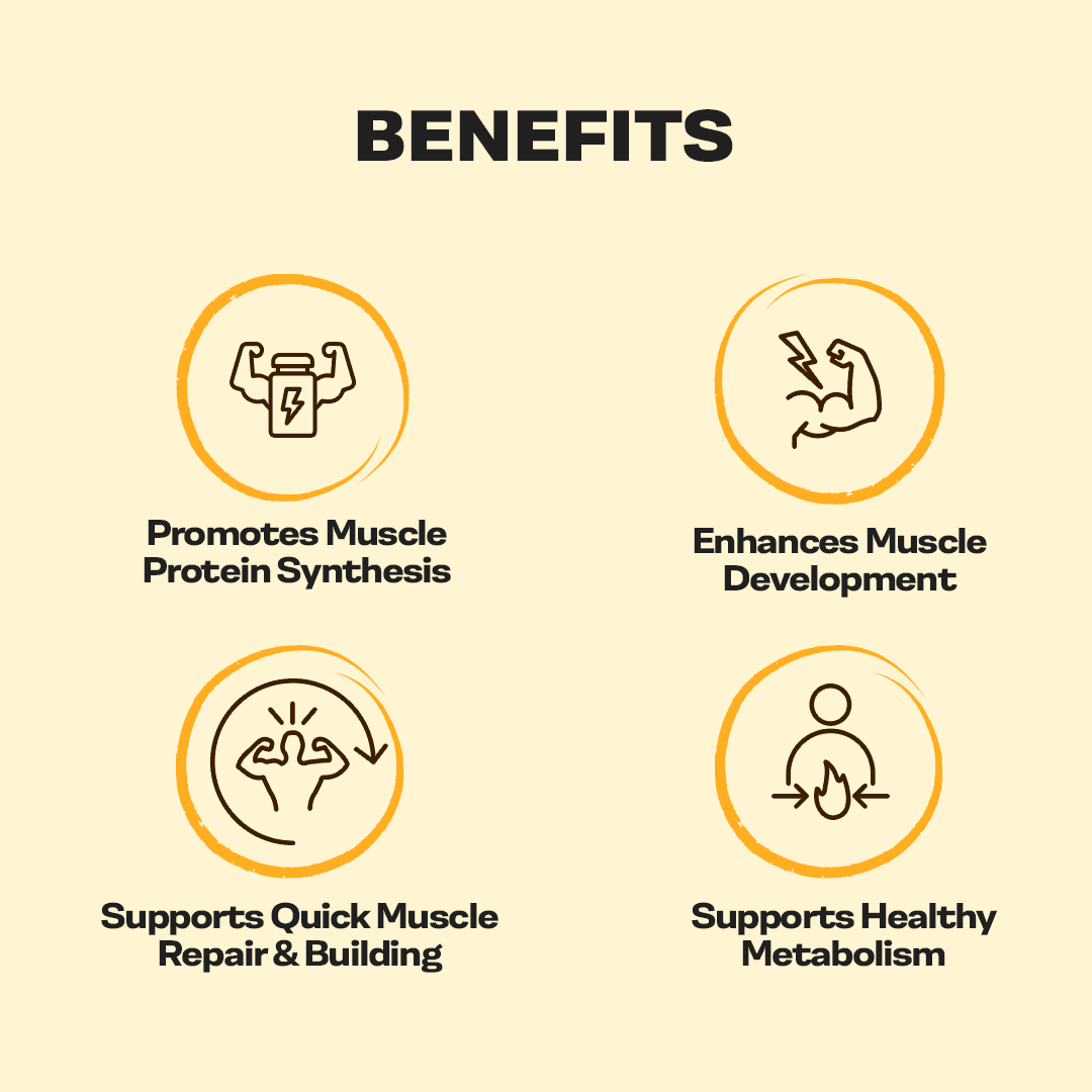 Proathlix Whey Protein Isolate with 25g Protein, 5.5g BCAA & 4.4g Glutamic Acid - Proathlix